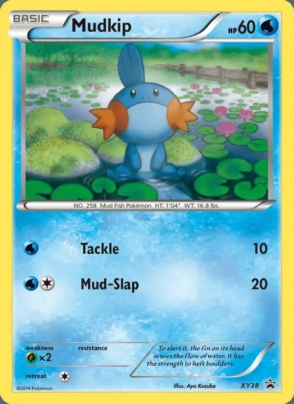 Mudkip #XY38 XY Black Star Promos PSA 10