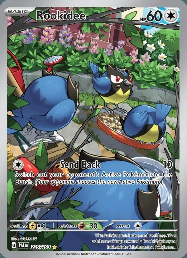 Rookidee #225 Paldea Evolved PSA 10