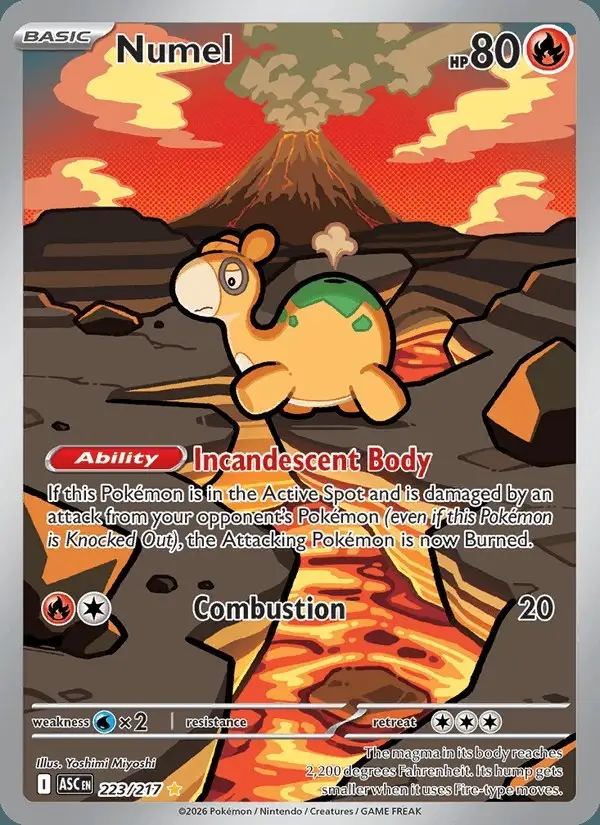 Numel #223 Ascended Heroes PSA 10