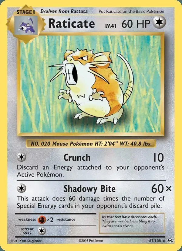Raticate #67 Evolutions PSA 10
