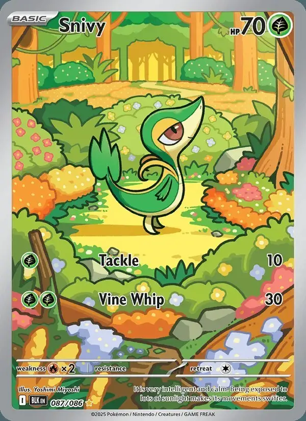 Snivy #087 Black Bolt PSA 10